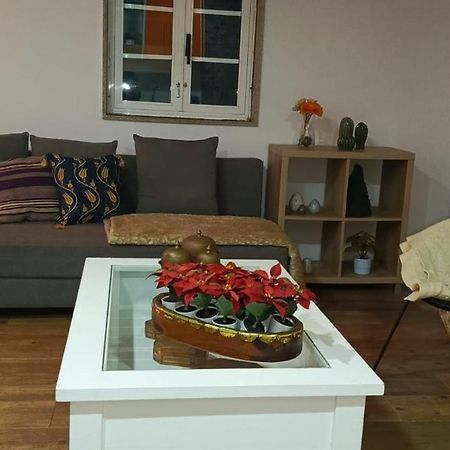 Picona Vivienda Con Jardin Terraza Y Barbacoaヴィラ エクステリア 写真
