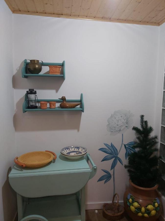 Picona Vivienda Con Jardin Terraza Y Barbacoaヴィラ エクステリア 写真
