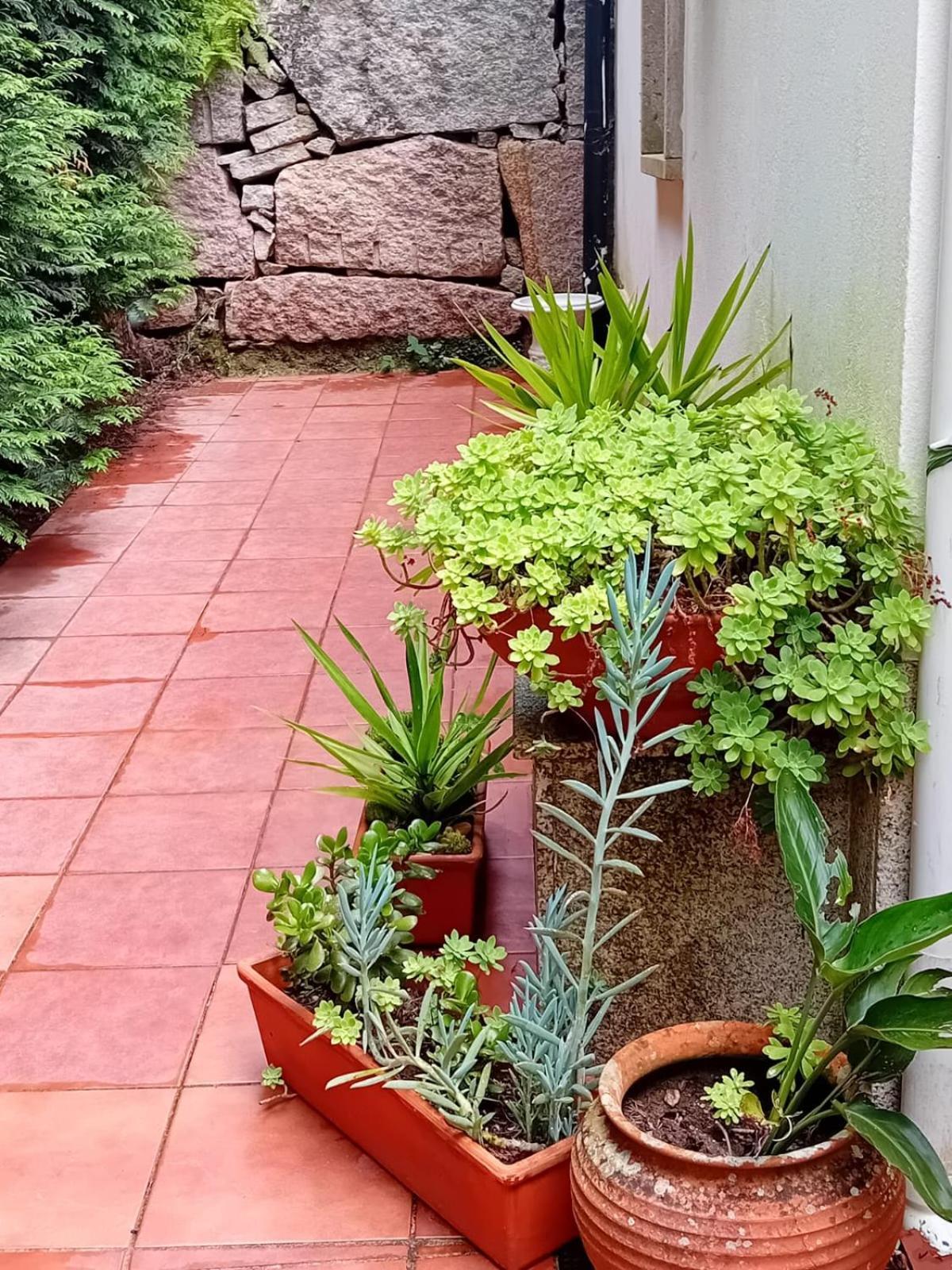 Picona Vivienda Con Jardin Terraza Y Barbacoaヴィラ エクステリア 写真