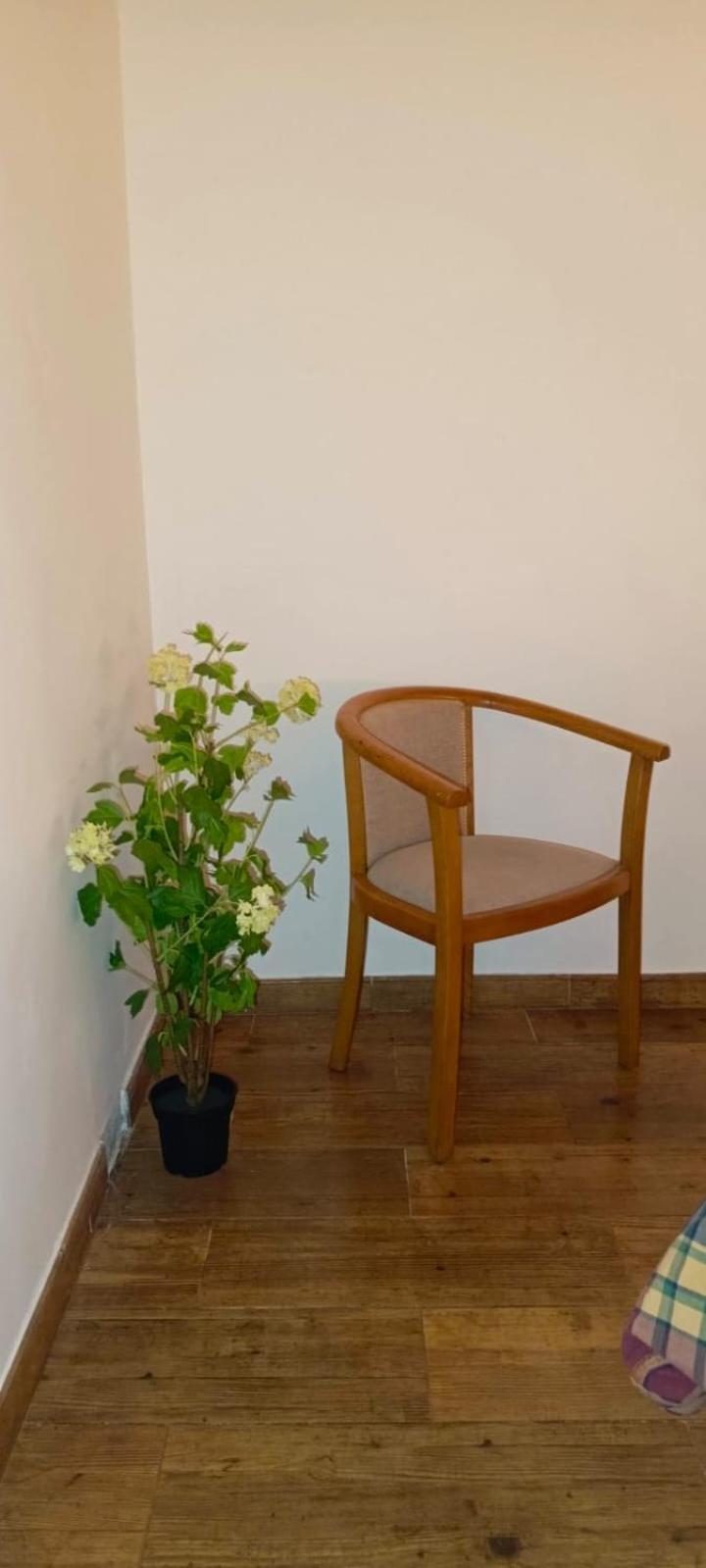 Picona Vivienda Con Jardin Terraza Y Barbacoaヴィラ エクステリア 写真